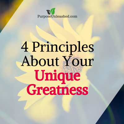 4 Principles About Your Unique Greatness