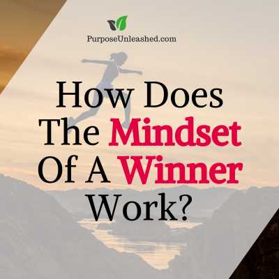 How Does The Mindset Of A Winner Work