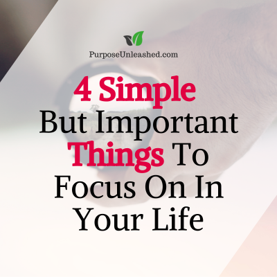 4 Simple But Important Things To Focus On In Your Life